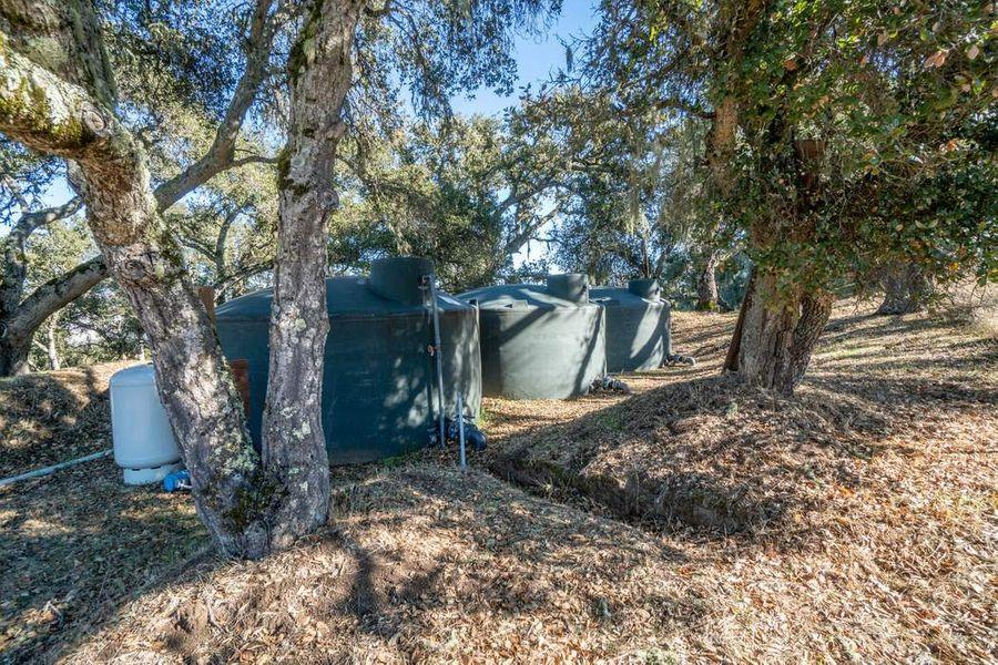 17114 Cachagua Road Carmel Valley, CA 93924 - Photo 12 of 31 a backyard of a house with lots of green space