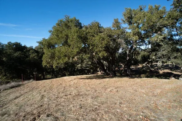 a view of a yard covered with snow in front of house
