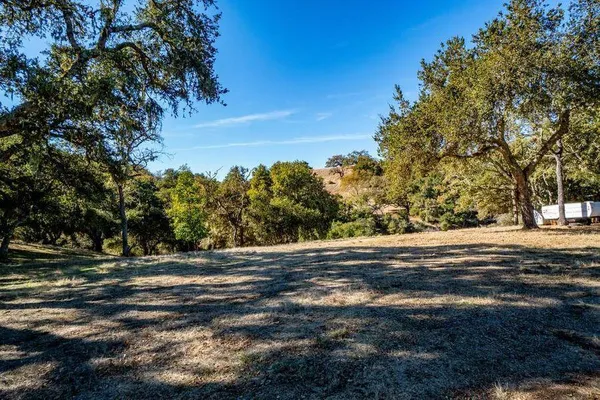 a view of dirt yard with a large tree