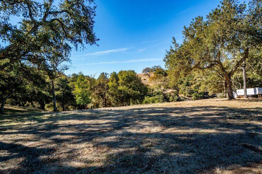 17114 Cachagua Road Carmel Valley, CA 93924 - Photo 21 of 31 a view of dirt yard with a large tree