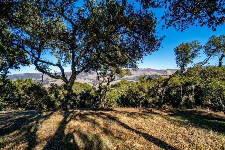 17114 Cachagua Road Carmel Valley, CA 93924 - Photo 22 of 31 a view of a yard with mountain view