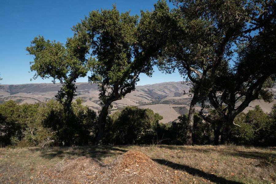 17114 Cachagua Road Carmel Valley, CA 93924 - Photo 31 of 31 a view of outdoor space