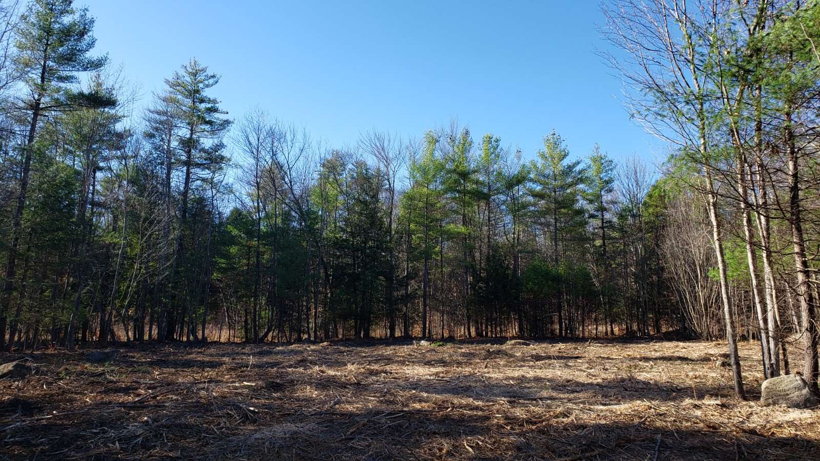 82 Mulhall Farm Road Antrim, NH 03440 - Photo 4 of 14 Gallery Image 4
