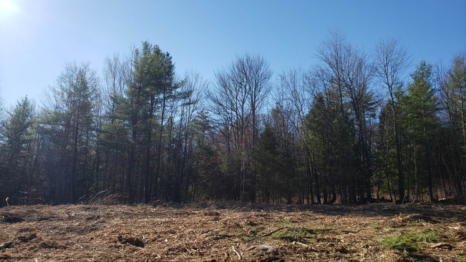 82 Mulhall Farm Road Antrim, NH 03440 - Photo 5 of 14 Gallery Image 5