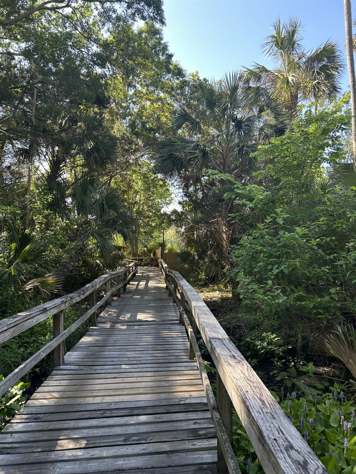 539 Lake Bridge Drive Ormond Beach, FL 32174 - Photo 24 of 34