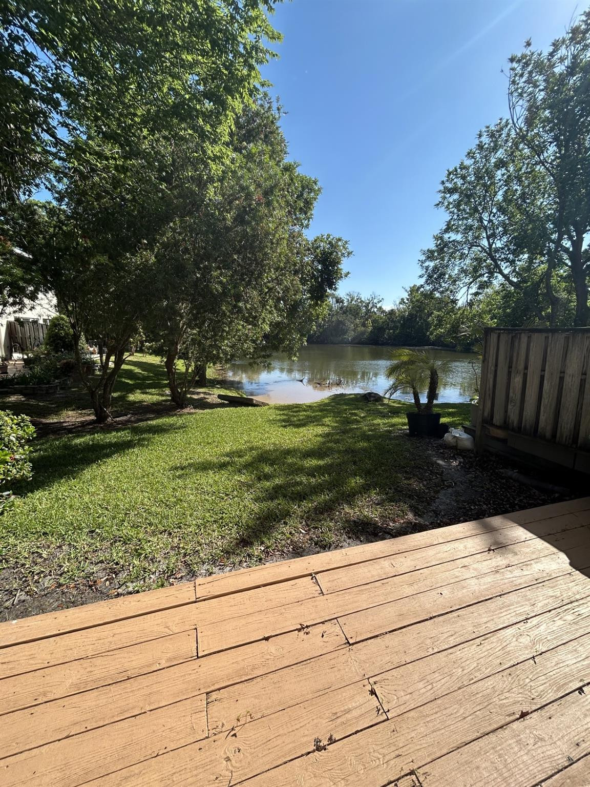 539 Lake Bridge Drive Ormond Beach, FL 32174 - Photo 5 of 34 a view of a garden