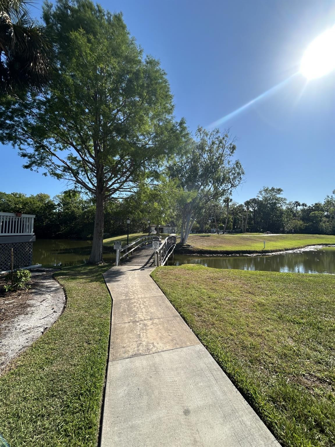 539 Lake Bridge Drive Ormond Beach, FL 32174 - Photo 6 of 34 a view of a swimming pool with a patio and a yard