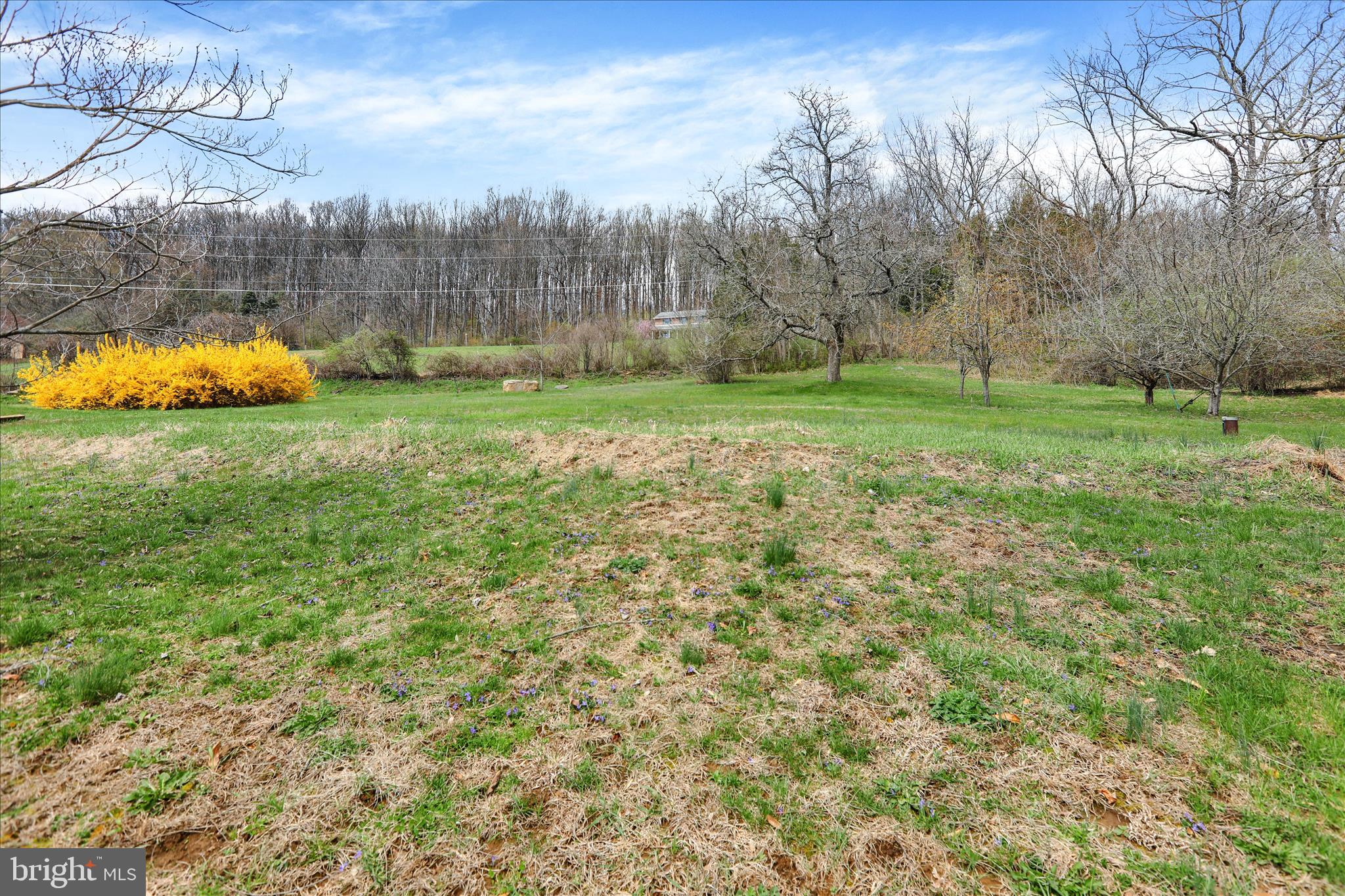 405 Oysterdale Road Boyertown, PA 19512 - Photo 15 of 44 360_4983