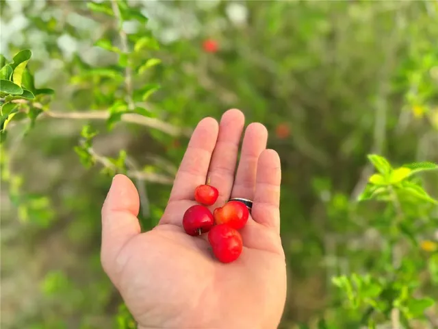 a view of an ocean view and beach