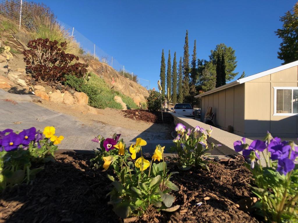 8242 Sunset Road Lakeside, CA 92040 - Photo 34 of 48 a view of a flower in a yard