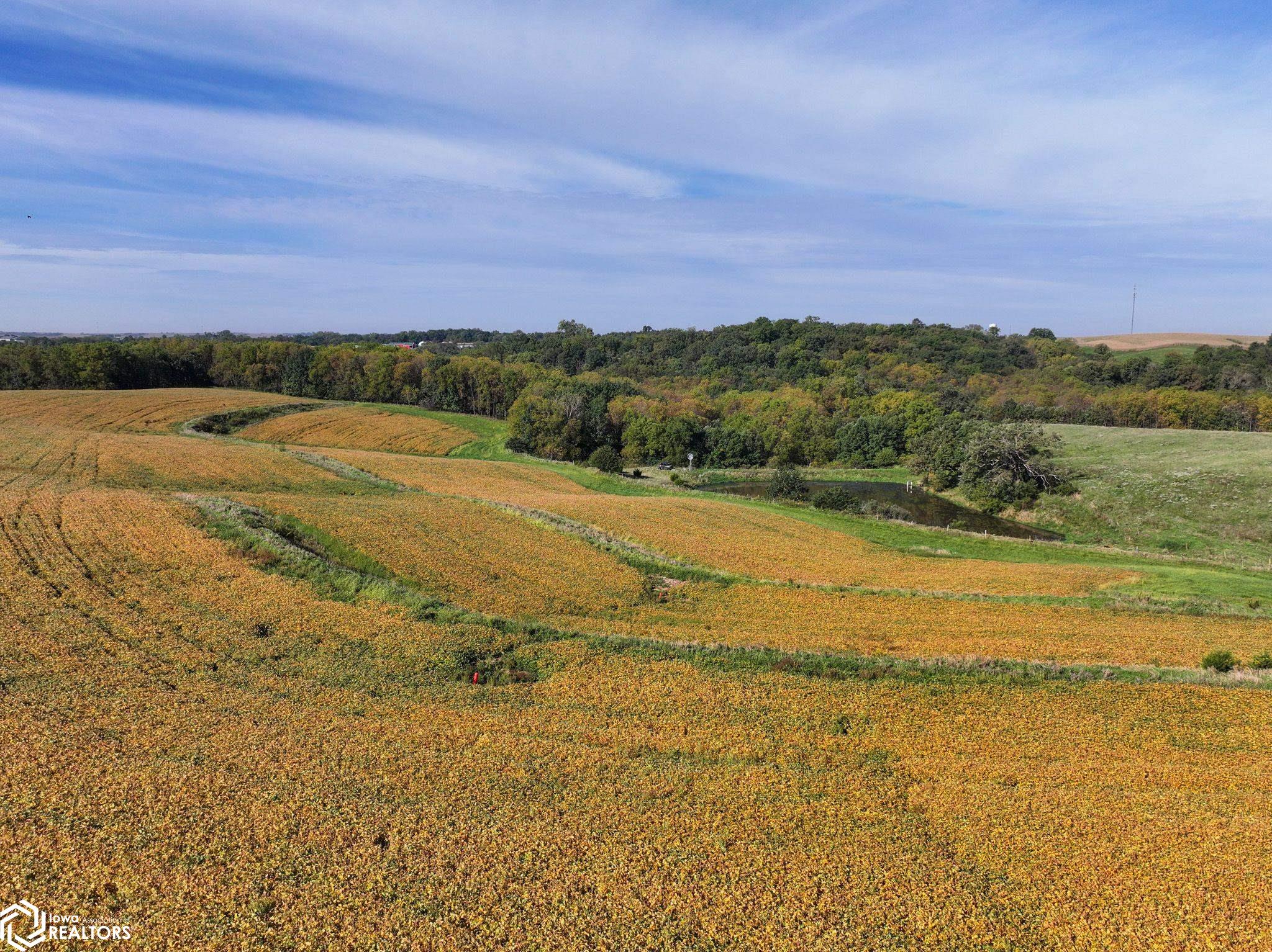Garryowen Road Cascade, IA 52033 - Photo 14 of 41 Gallery Image 14
