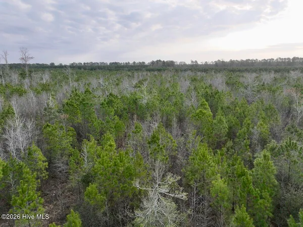 $149,900 | 0 Guinea Mill Road, Ernul, NC 28527