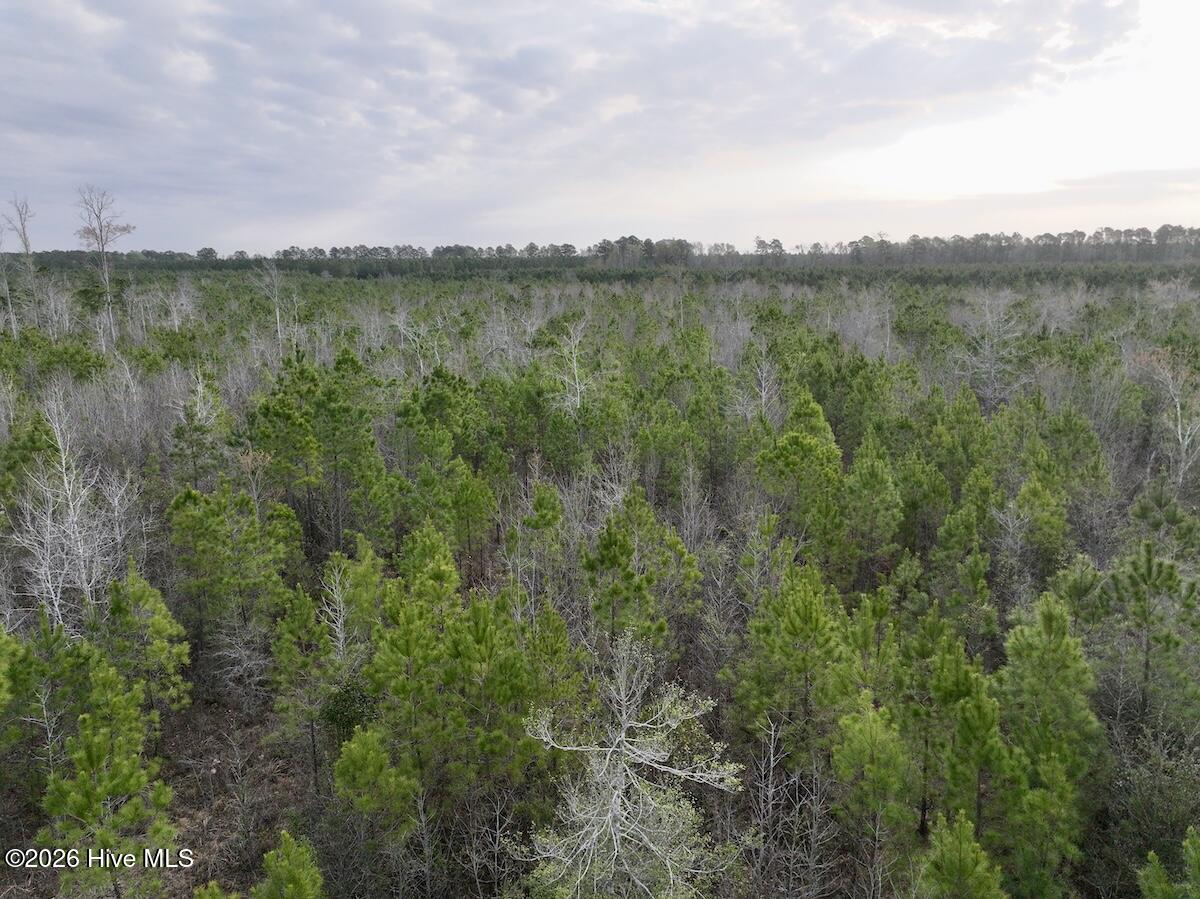 0 Guinea Mill Road Ernul, NC 28527 - Photo 11 of 24 DJI_20260401083142_0976_D