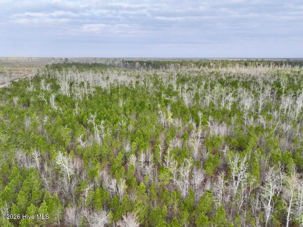 $149,900 | 0 Guinea Mill Road, Ernul, NC 28527