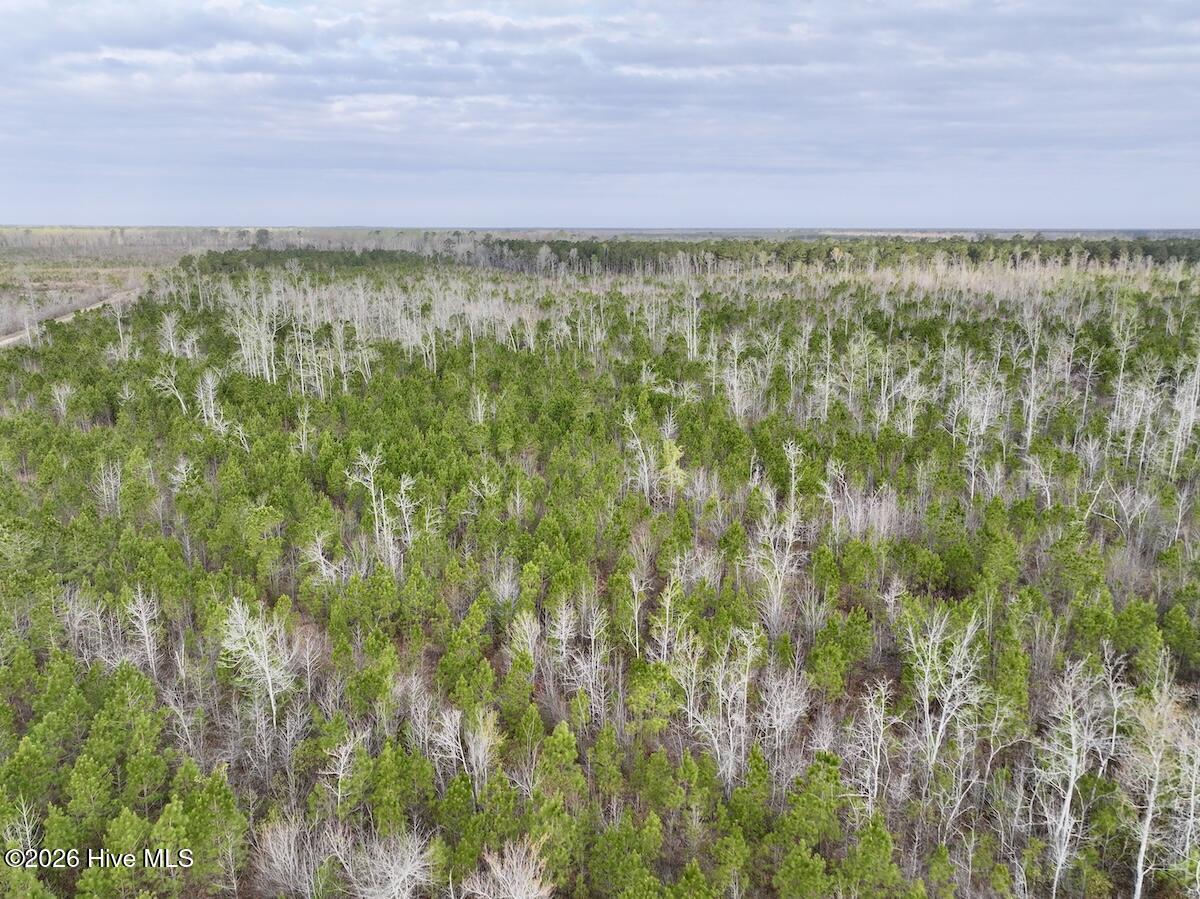 0 Guinea Mill Road Ernul, NC 28527 - Photo 12 of 24 DJI_20260401083147_0977_D