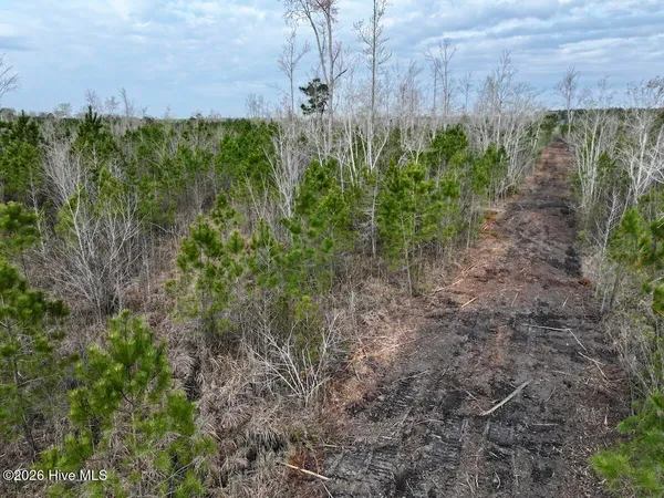 $149,900 | 0 Guinea Mill Road, Ernul, NC 28527