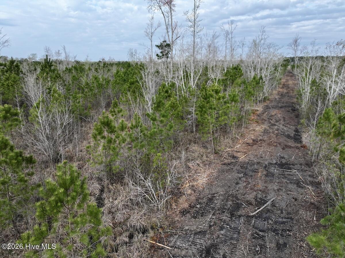 0 Guinea Mill Road Ernul, NC 28527 - Photo 13 of 24 DJI_20260401083207_0978_D