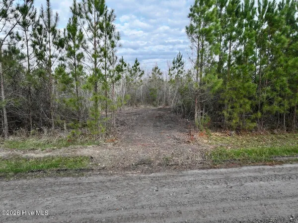 $149,900 | 0 Guinea Mill Road, Ernul, NC 28527