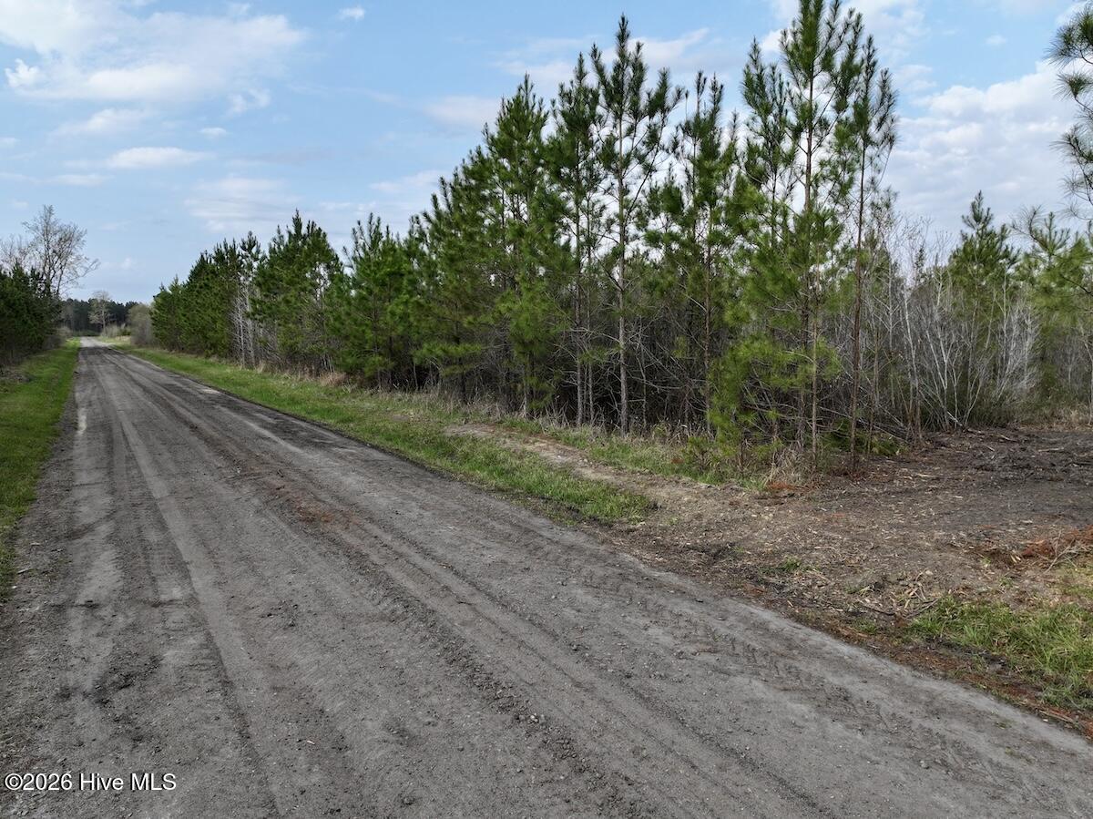 0 Guinea Mill Road Ernul, NC 28527 - Photo 15 of 24 DJI_20260401083302_0981_D