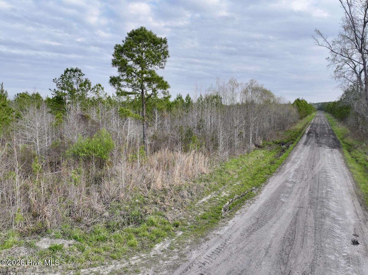 0 Guinea Mill Road Ernul, NC 28527 - Photo 16 of 24 DJI_20260401083325_0982_D