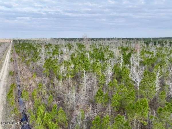 $149,900 | 0 Guinea Mill Road, Ernul, NC 28527