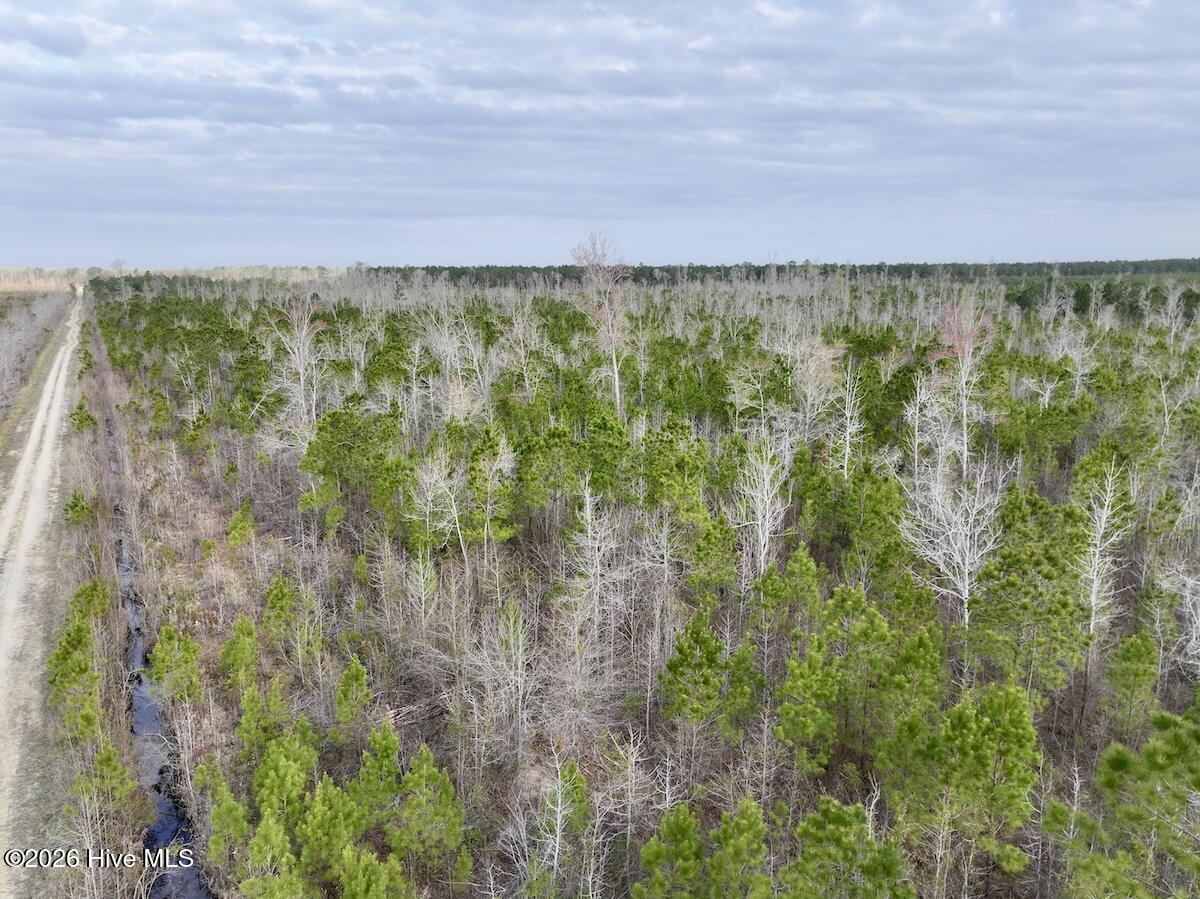 0 Guinea Mill Road Ernul, NC 28527 - Photo 17 of 24 DJI_20260401083352_0984_D