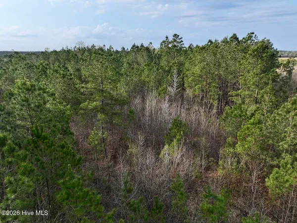 $149,900 | 0 Guinea Mill Road, Ernul, NC 28527