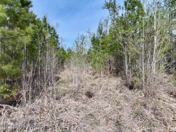 $149,900 | 0 Guinea Mill Road, Ernul, NC 28527