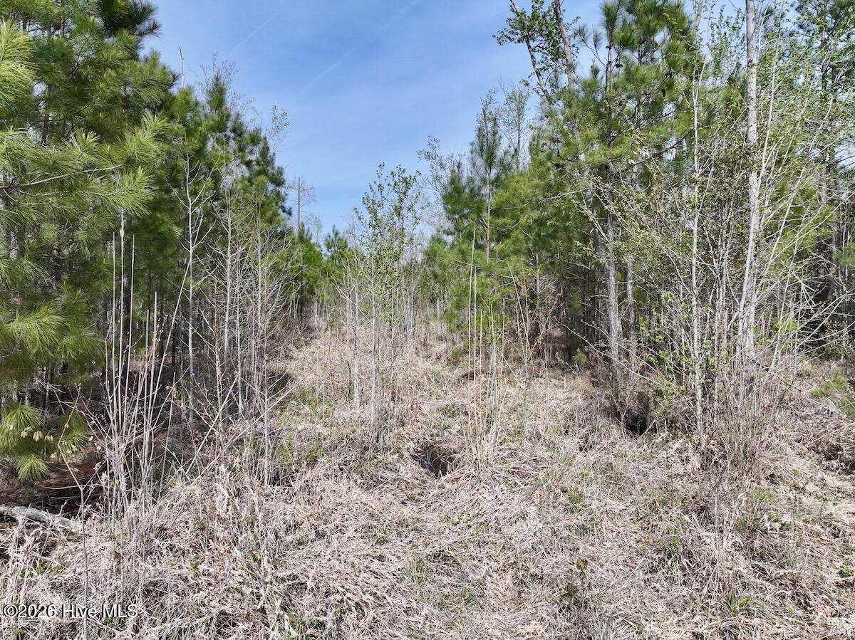 0 Guinea Mill Road Ernul, NC 28527 - Photo 19 of 24 DJI_20260408154912_0052_D