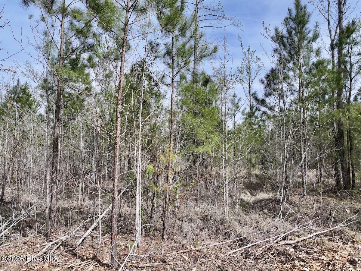 0 Guinea Mill Road Ernul, NC 28527 - Photo 20 of 24 DJI_20260408154928_0053_D