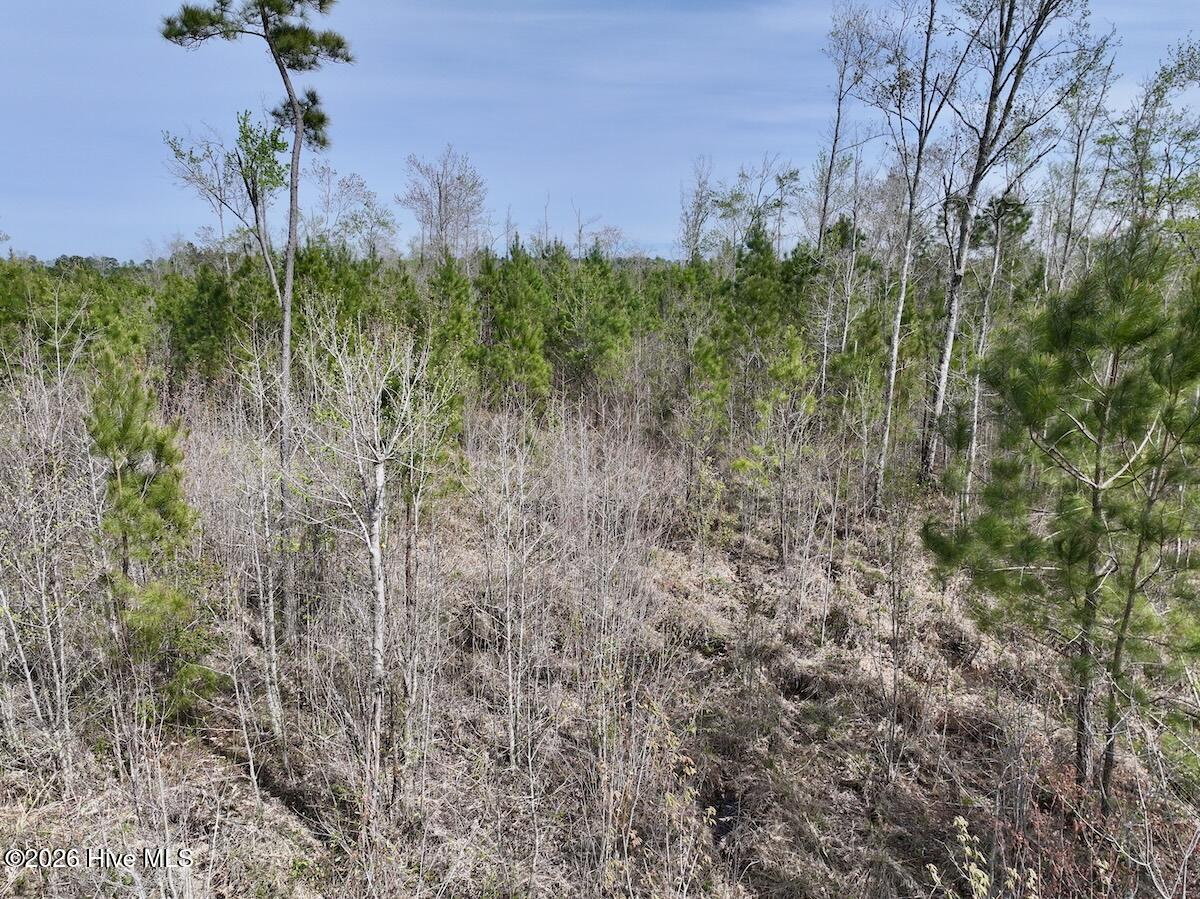 0 Guinea Mill Road Ernul, NC 28527 - Photo 21 of 24 DJI_20260408154942_0054_D