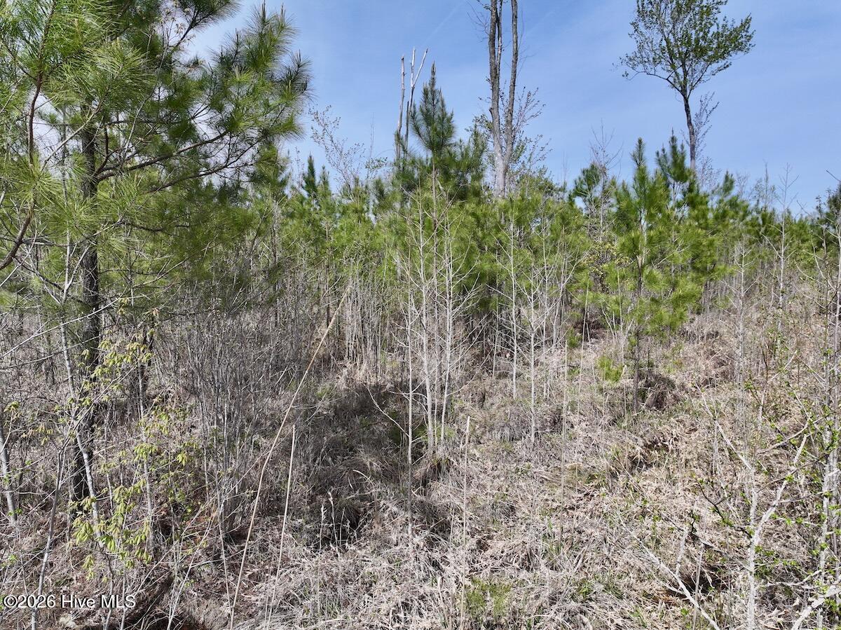 0 Guinea Mill Road Ernul, NC 28527 - Photo 22 of 24 DJI_20260408154959_0055_D