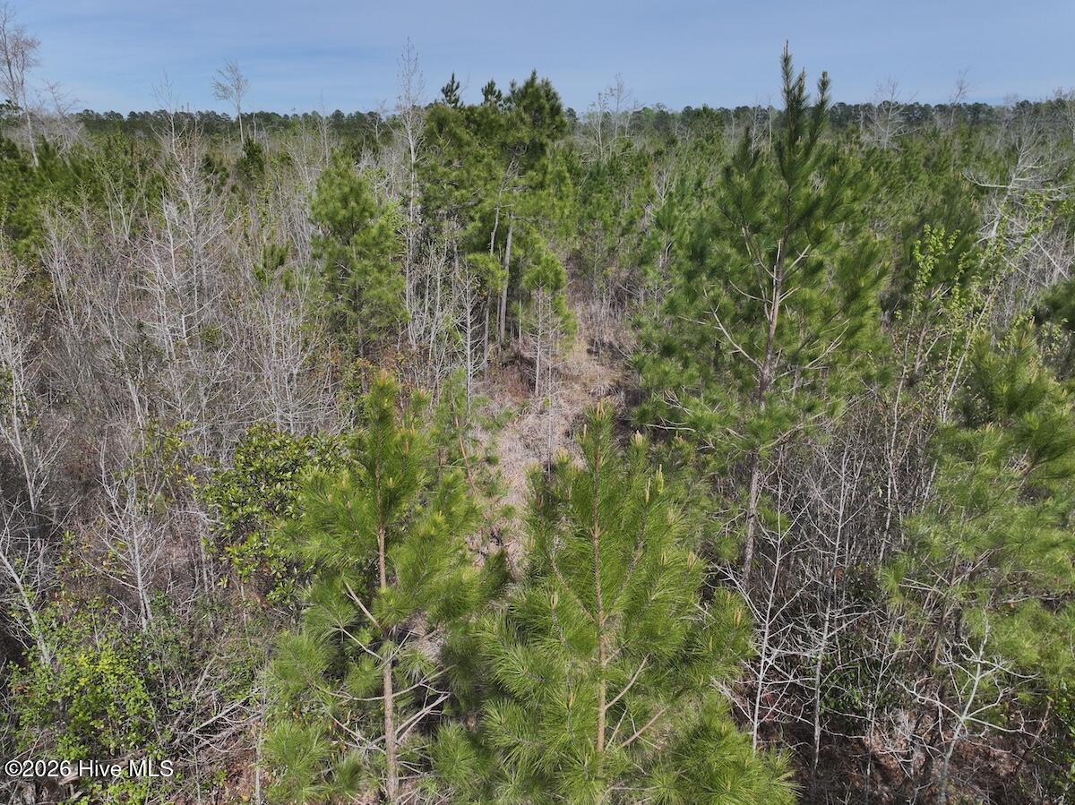 0 Guinea Mill Road Ernul, NC 28527 - Photo 23 of 24 DJI_20260408155109_0056_D