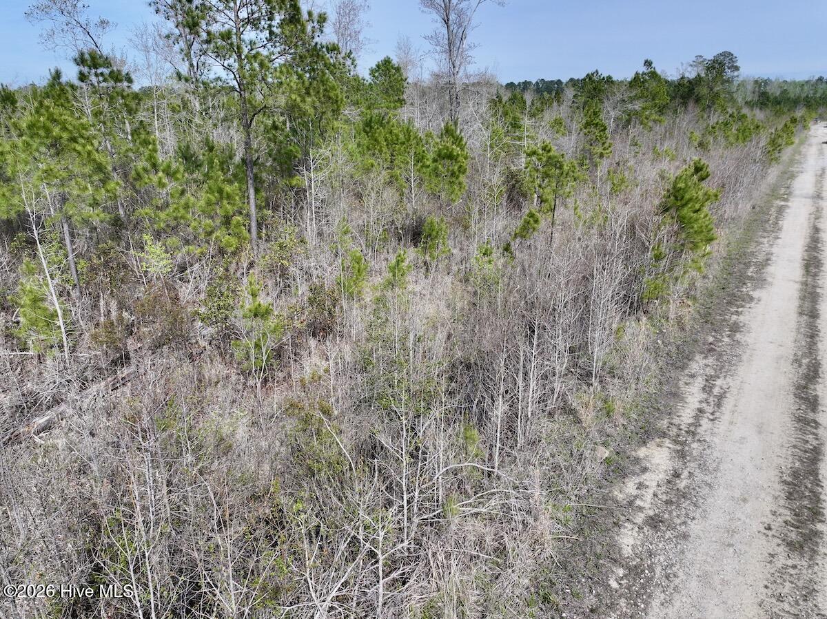 0 Guinea Mill Road Ernul, NC 28527 - Photo 24 of 24 DJI_20260408155122_0057_D