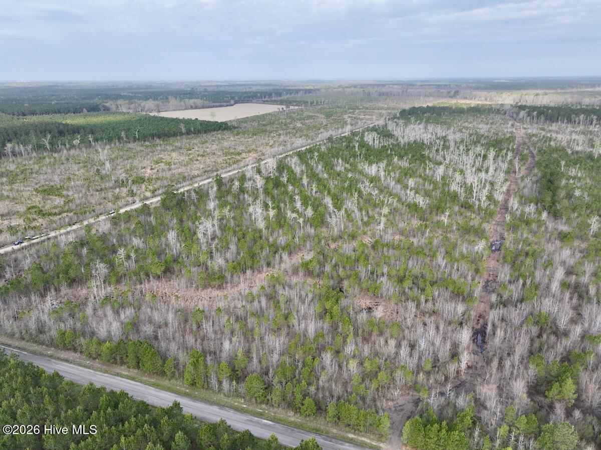 0 Guinea Mill Road Ernul, NC 28527 - Photo 3 of 24 DJI_20260401082733_0967_D