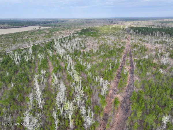 $149,900 | 0 Guinea Mill Road, Ernul, NC 28527