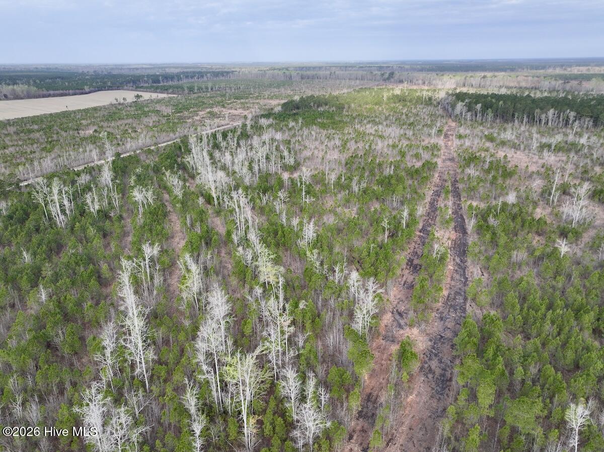 0 Guinea Mill Road Ernul, NC 28527 - Photo 4 of 24 DJI_20260401082759_0968_D