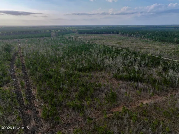 $149,900 | 0 Guinea Mill Road, Ernul, NC 28527