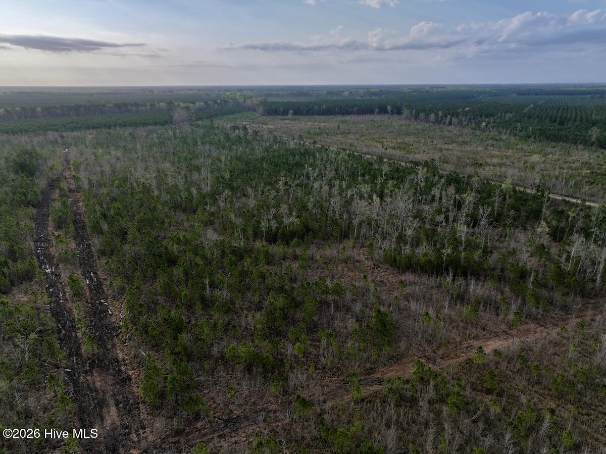 0 Guinea Mill Road Ernul, NC 28527 - Photo 5 of 24 DJI_20260401082947_0969_D