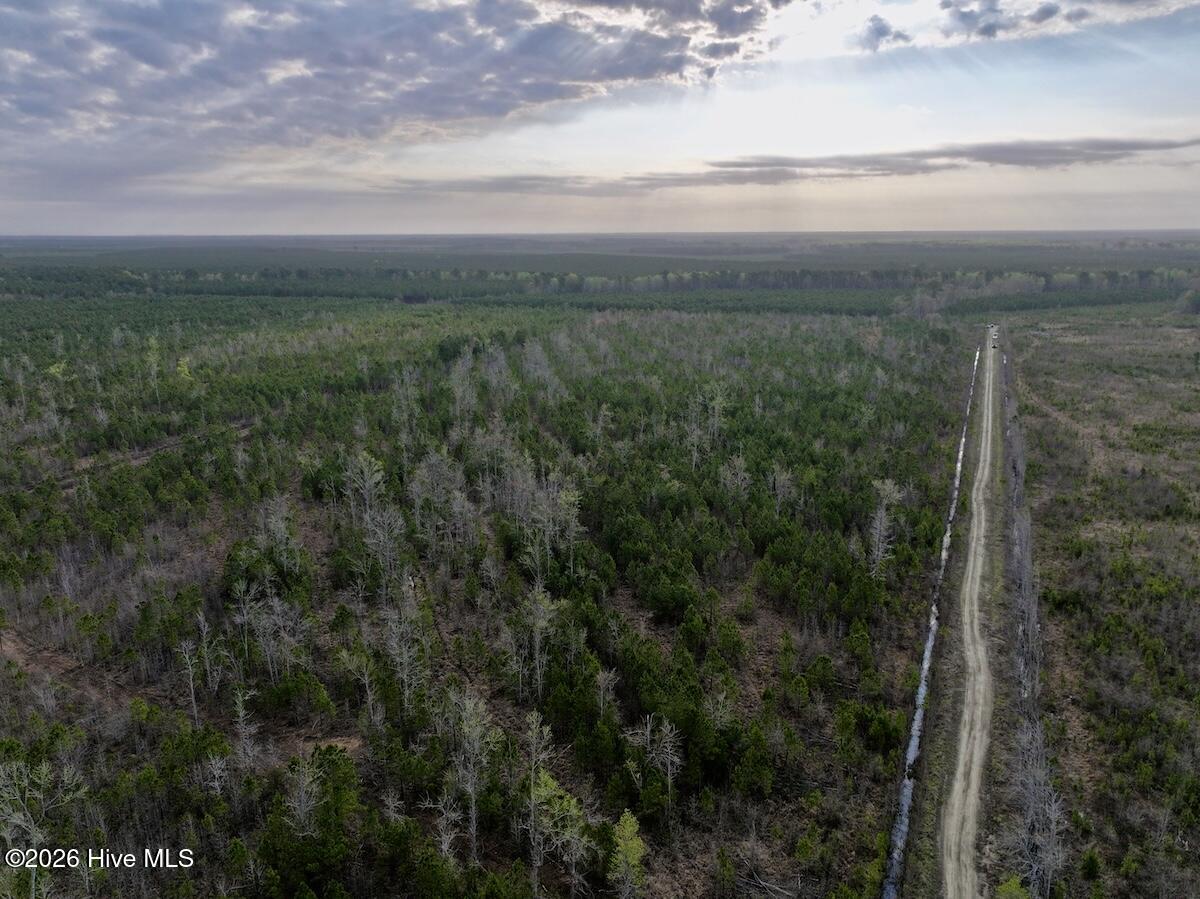 0 Guinea Mill Road Ernul, NC 28527 - Photo 7 of 24 DJI_20260401083025_0971_D
