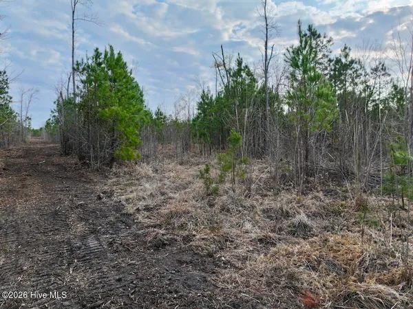 $149,900 | 0 Guinea Mill Road, Ernul, NC 28527