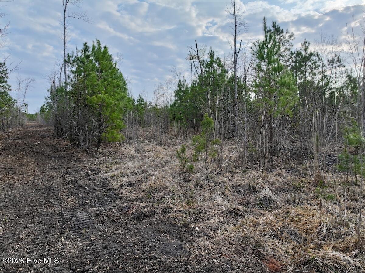 0 Guinea Mill Road Ernul, NC 28527 - Photo 8 of 24 DJI_20260401083043_0972_D