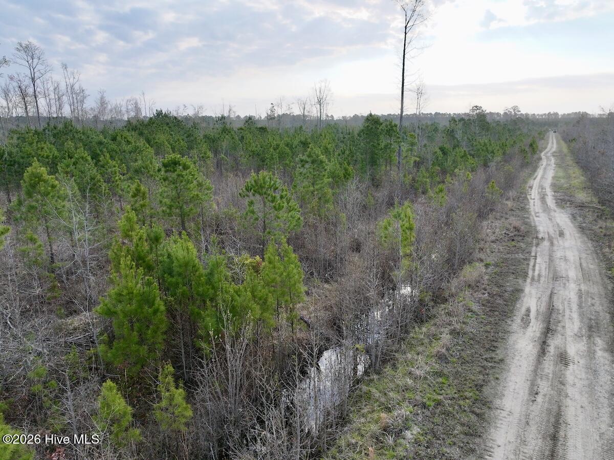 0 Guinea Mill Road Ernul, NC 28527 - Photo 9 of 24 DJI_20260401083058_0973_D (1)