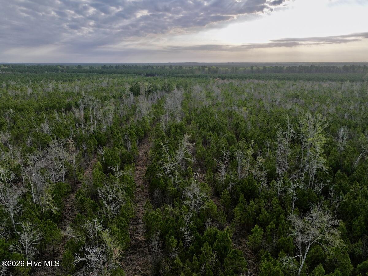 0 Guinea Mill Road Ernul, NC 28527 - Photo 10 of 24 DJI_20260401083124_0975_D (1)