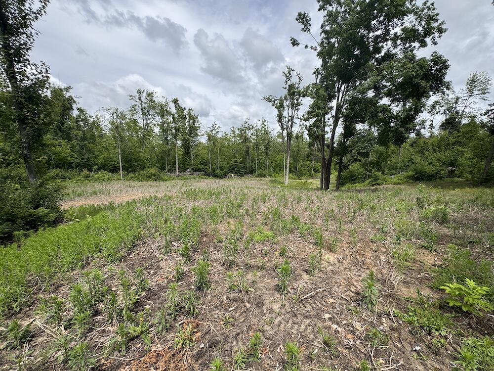 1692 North Galbraith Road Mio, MI 48647 - Photo 34 of 82 23