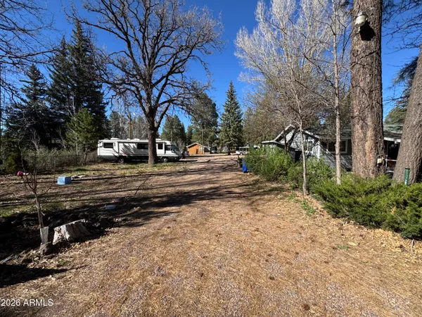 a view of a backyard with large trees