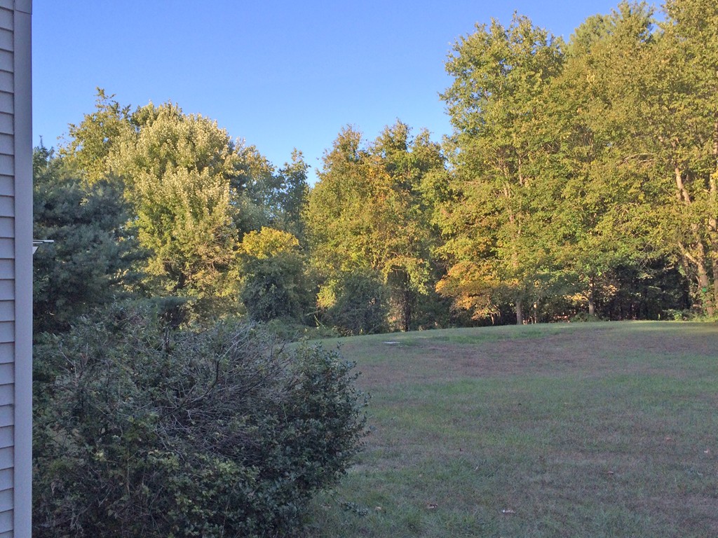 10 Old Meetinghouse Road Townsend, MA 01469 - Photo 3 of 11 Gallery Image 3