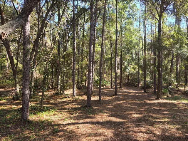a view of outdoor space with trees