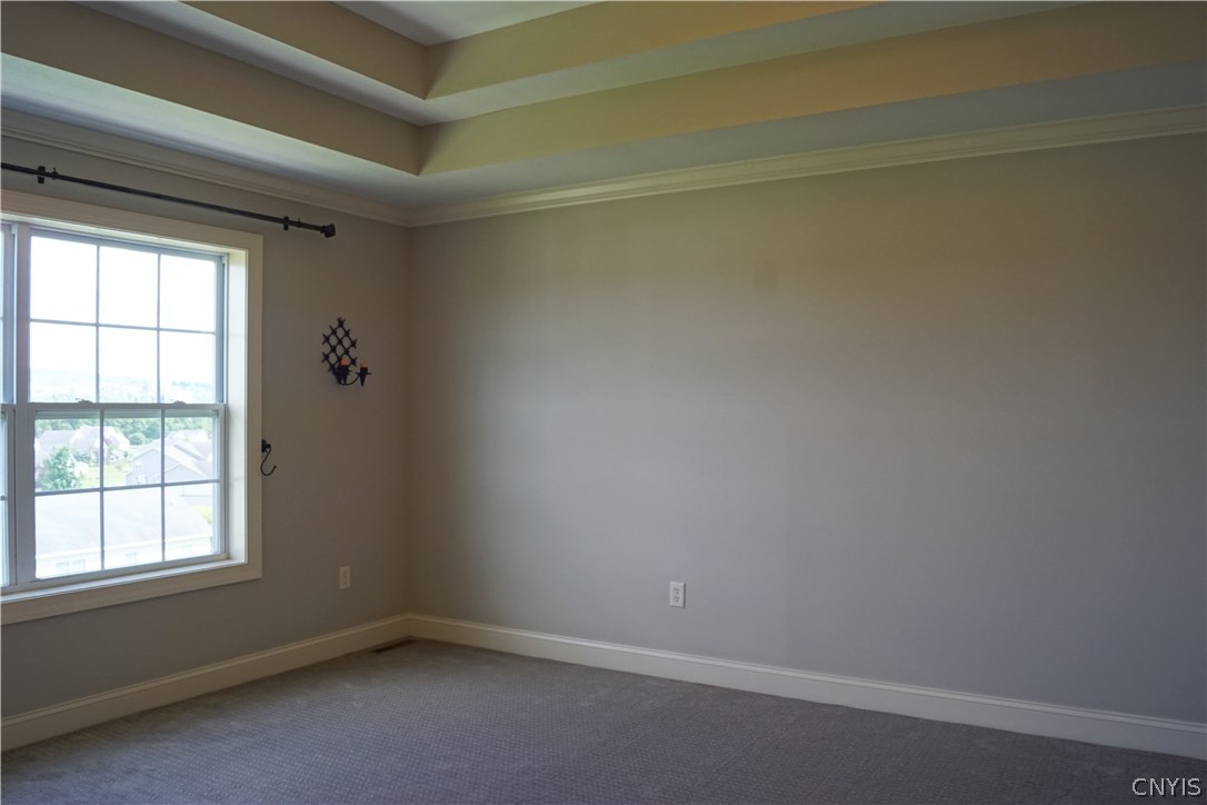 6244 Steinway Drive DeWitt, NY 13078 - Photo 23 of 36