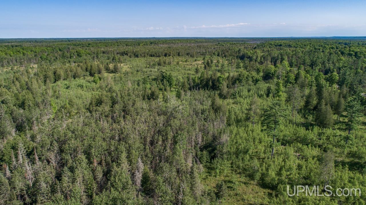 Tbd 80-acres 30th Road Rapid River, MI 49878 - Photo 10 of 17